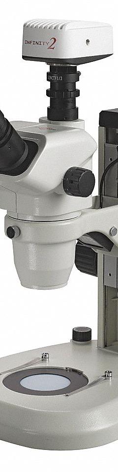 ACCU-SCOPE Microscope: Stereo, Trinocular, 0.67X to 4.5X, 22 mm Optical Field of View, LED, 100 mm (MPN 3076-LED). Key specifications — attr1026089: LED; attr1026045: 11-13/32 in x 12-1/2 in; attr1026048: ACCU-SCOPE; attr1026055: Yes; attr1026068: 10X; attr1026078: 0.67X to 4.5X; attr1026095: 100 mm.