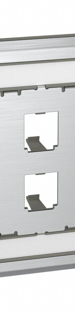 PANDUIT Wall Plate: Metallic, 1 Gang, 2 Port, Flat Module, Stainless Steel, Vertical (MPN CFPL2SY). Key specifications — Brand: PANDUIT; Material: Stainless Steel; Color: Metallic; Compatible Connector Type: Mini-Com Modules; Outlet Orientation: Vertical; Module Style: Flat.