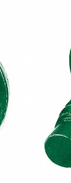 PANDUIT Grounding Screw: Steel, Green, #12-24 Bonding Cage Nuts, 0.5 in Overall Lg (MPN RGTBSG-C). Key specifications — For Product Type: #12-24 Bonding Cage Nuts; Brand: PANDUIT; Accessory Type: Bonding Screw; Color: Green; Material: Steel.