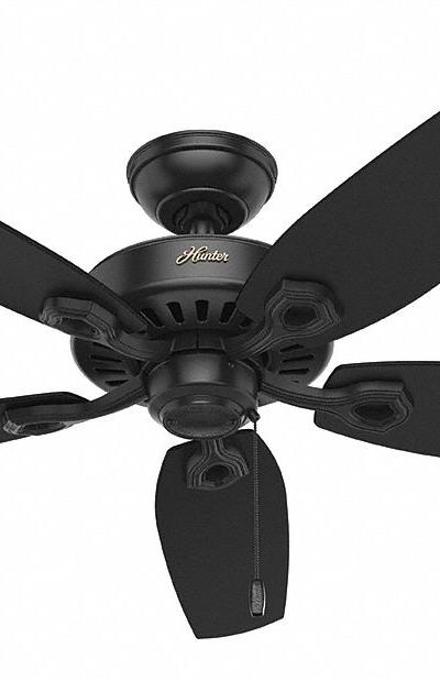 HUNTER Ceiling Fan: 52 in Blade Dia - Decorative Office Ceiling Fans