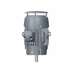 U.S. MOTORS General Purpose Motor: Rigid Base Mount, Totally Enclosed Fan Cooled, 75 hp, 380V AC (MPN CD75P2FCR). Key specifications — Brand: U.S. MOTORS; Nameplate Voltage @ 60 Hz: 380V AC; Full Load Current @ 60 Hz: 104.0 A; Nameplate RPM @ 60 Hz: 1,785 RPM; Motor Enclosure: TEFC.