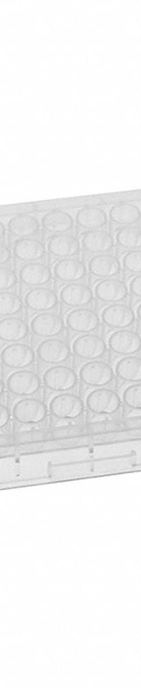 MTC BIO Well Plate: Non-Sterile, 96 Wells, 0.3 mL, 7 mm Dia, RNase/DNase Free, Round, Polystyrene (MPN DP36VR-9-GC10). Key specifications — Brand: MTC BIO; Body Color: Colorless; RNase/DNase Free: Yes; Well Shape: Round; Material: Polystyrene.