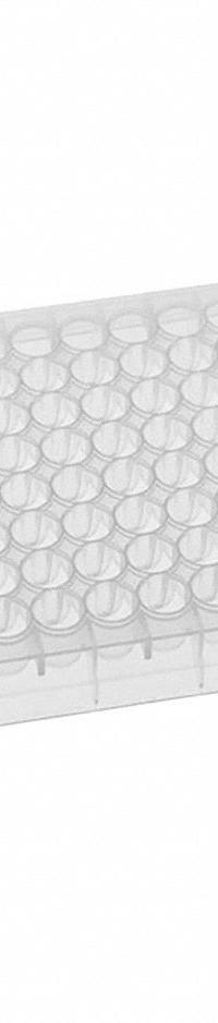 MTC BIO Well Plate: Non-Sterile, 96 Wells, 0.5 mL, 6.5 mm Dia, RNase/DNase Free, Round, Polystyrene (MPN DP35UR-9-N). Key specifications — Brand: MTC BIO; Body Color: Colorless; RNase/DNase Free: Yes; Well Shape: Round; Material: Polystyrene.