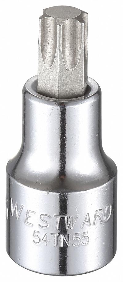 WESTWARD Socket Bit: 1/2 in Drive Size, Torx Tip, T55 Tip Size, 2 1/2 in Overall Lg - Torx Bit Sockets