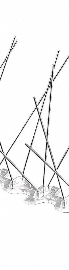 BIRD BARRIER Bird Repellent Spikes: Std, Plastic Base, Silver, 50 ft Overall Lg, 5 in Overall Wd (MPN BP-F250). Key specifications — Brand: BIRD BARRIER; Spike Material: Stainless Steel; Targeted Birds: Pigeons; Base Material: Plastic; Ledge Width: Standard.