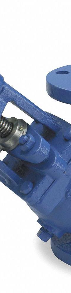 SSI Triple Duty Check Valve: Flange, 2 in Pipe Size, 60°F – 300°F, Cast Iron, For Steam/Water Media (MPN 0200-125TFI-B). Key specifications — Brand: SSI; Connection Type: Flange.