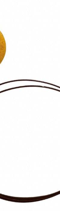 DAYTON Extension Lead: Encapsulated Wire, 500°F Max Temp °F, 260°F Max Temp °C, Male, Mini Connector (MPN 794F61). Key specifications — End 1 Connection Type: Mini Connector; End 1 Connection Gender: Male; Brand: DAYTON.