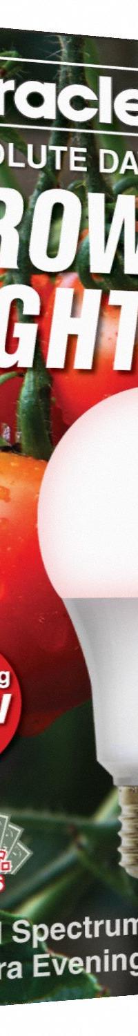 LED Grow Bulb: LED, A19, 120V, Full/Broad/Red, 150 W Incandescent Watt Equivalency (MPN 601814). Key specifications — Plant Growth Application: Budding; Brand: MIRACLE LED; Bulb Shape: A19; Spectrum: Red.