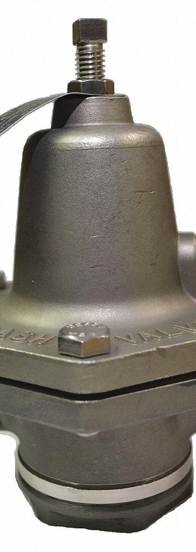 CASH VALVE Steam Pressure Regulator: Stainless Steel - Steam Pressure Regulators