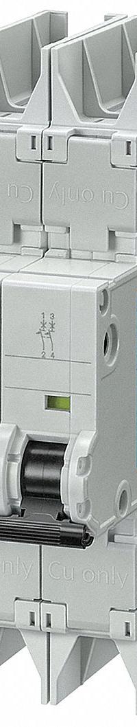 SIEMENS IEC Miniature Circuit Breaker: 40 A Amps, 125V DC, 10kA at 277/480V AC, Screw Clamp, 5SJ4 (MPN 5SJ42407HG42). Key specifications — DC Voltage Rating: 125V DC; Brand: SIEMENS; Max. AIR Rating: 10kA at 277/480V AC; Terminal Connection: Screw Clamp; AC Voltage Rating: 277/480V AC.