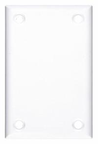CORTECH Wall Plate: Blank, 1 Gang, White, Jumbo Size (MPN TPBB). Key specifications — Brand: CORTECH; Material: Polycarbonate/Nylon.