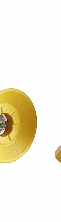 SCHMALZ Vacuum Pad Assembly: M5, 13.2 mm Pad Dia, NBR-ESD, 55 A, Yellow, 13.6 mm Pad Ht (MPN 10.01.01.14160). Key specifications — attr1019168: 55 A; attr1019165: 10.01.01.14160; attr1019167: SCHMALZ; attr1019180: Yellow.
