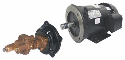 Dayton Rotary Gear Pump: Direct Drive, 3 hp Horsepower, 230/460V AC, Bronze Body - Direct-Drive Rotary Gear Pumps
