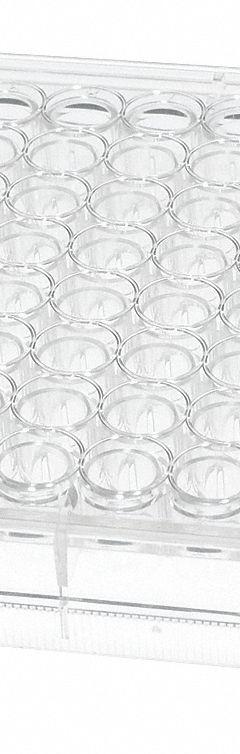 CELLTREAT Well Plate: Sterile, 96 Wells, 0.3 mL, RNase/DNase Free, Tissue Culture Treated, Round (MPN 229590). Key specifications — Brand: CELLTREAT; Body Color: Colorless; RNase/DNase Free: Yes; Well Shape: Round; Material: Polystyrene.