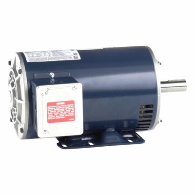 LEESON General Purpose Motor: Rigid Base Mount, Open Drip Proof, 2 hp, 230/460V AC - Rigid Base 3-Phase General Purpose AC Motors