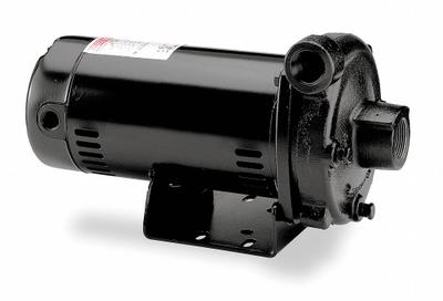 Dayton Centrifugal Pump: 3/4 hp, 208-230/460V AC, 100 ft Max Head, 1 1/4 in - 1/4 to 3/4 HP Straight Centrifugal Pumps