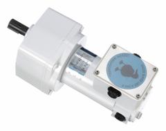 LEESON Parallel Shaft Gearmotors: Parallel, 90V DC, TENV, 14 RPM, 341 in-lb Max Torque, 180:1, 1.5 A (MPN M1125268.00). Key specifications — Motor Type: Permanent Magnet DC; Brand: LEESON; Full Load Current: 1.5 A.
