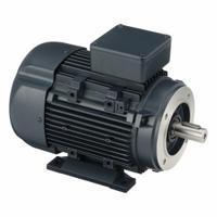 LEESON Metric Motor: 3 hp, C-Face/Rigid Base Mount, 90L Frame Size, Totally Enclosed Fan Cooled (MPN 090LT34FH6420). Key specifications — Brand: LEESON; Nameplate Voltage @ 60 Hz: 230/460V AC; Full Load Amps @ 60 Hz: 7.2/3.6 A; Nameplate RPM @ 60 Hz: 1,800 RPM; Motor Enclosure: TEFC.