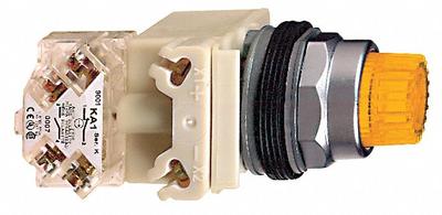 SCHNEIDER Illuminated Push Button: Illuminated, Extended Profile, Metallic, 30 mm - Illuminated Extended-Length Push Buttons