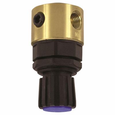 ARO Brass Regulator: Brass, 1/4 in, 13 scfm, 125 psig, 250 psig Max Op Pressure - ARO FRL Air Regulators