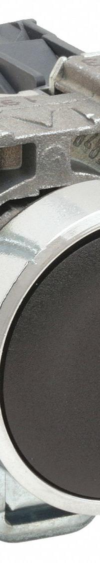 SCHNEIDER Flush Push Button Operator: Non-Illuminated, Flush Profile, Metallic, 22 mm, 1NO (MPN XB4BA21). Key specifications — Brand: SCHNEIDER; Action: Momentary; Series: XB4; Push Button Material Type: Metallic.