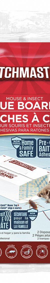 CATCHMASTER Glue Trap: For Use On Crawling Insects, Bait Board Trap, Indoor Use, 2 PK (MPN 36-72). Key specifications — Brand: CATCHMASTER; Indoor/Outdoor Use: Indoor; Insect Group: Crawling; Targeted Insects: Crickets; Trap Style: Bait Board.