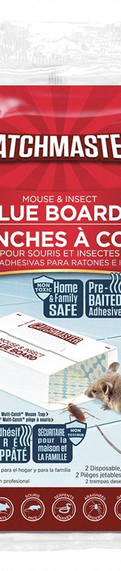 CATCHMASTER Glue Trap: For Use On Crawling Insects, Bait Board Trap, Indoor Use, 2 PK (MPN 36-72). Key specifications — Brand: CATCHMASTER; Indoor/Outdoor Use: Indoor; Insect Group: Crawling; Targeted Insects: Crickets; Trap Style: Bait Board.