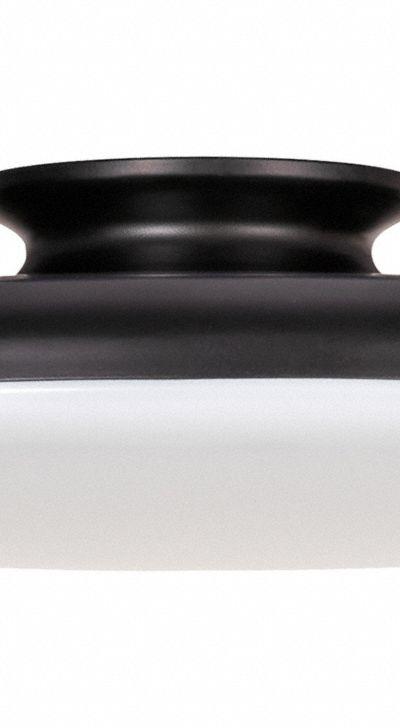 AFX INC. LED Flush Mount: 19 in Dia - Skye Semiflush-Mount Lights