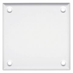 CORTECH Wall Plate: Blank, 2 Gang, White, Std Size (MPN TPDBB). Key specifications — Brand: CORTECH; Material: Polycarbonate/Nylon.