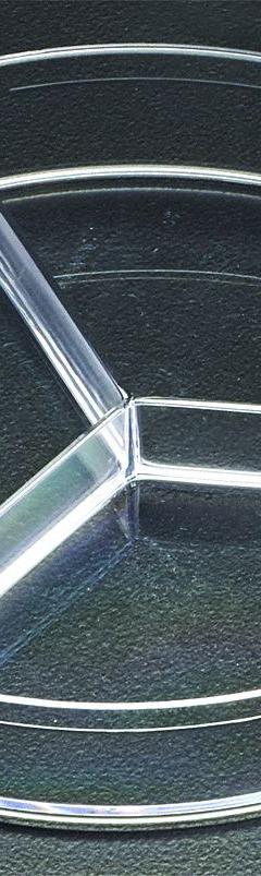 Petri Dish: 100 mm Dia, 15 mm Overall Ht, Tissue Culture Treated, Polystyrene, Sterile, Clear (MPN 229683). Key specifications — Material: Polystyrene; Brand: CELLTREAT; Surface Type: Tissue Culture Treated.
