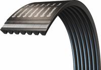 CONTINENTAL V-Belt: 7/C128, 7 Ribs, 132 in Outside Lg, 6 5/32 in Top Wd, 17/32 in Thick (MPN 20040401)