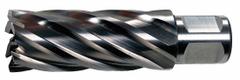 SLUGGER BY FEIN Annular Cutter: 1 in Cutter Dia, 3 in Max Cutting Dp, Bright, High Speed Steel (MPN 63134254103). Key specifications — attr253884: No; attr253885: Bright; attr253886: High Speed Steel; attr253887: Weldon Flat; attr253888: Fractional Inch; attr277149: SLUGGER BY FEIN.
