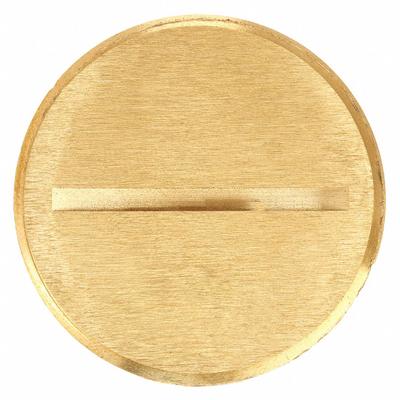 HUBBELL WIRING DEVICE-KELLEMS Flush Plug: Round, Brass, Hubbell, S3625/S3725/SA3625/SA3725 - Insert Plugs & Accessories for Floor Boxes