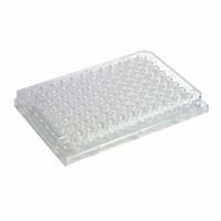 CAPLUGS 96-Well Conical Microplates: Non-Sterile, 96 Wells, 0.3 mL, 85 mm Dia, Polystyrene (MPN 290811601VE1). Key specifications — Brand: CAPLUGS; Body Color: Natural; RNase/DNase Free: No; Material: Polystyrene.