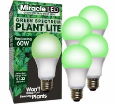 LED Grow Bulb: LED, A19, 120V, Green, 60 W Incandescent Watt Equivalency (MPN 601823). Key specifications — attr1259935: MIRACLE LED; attr1259941: A19; attr1259954: Green.