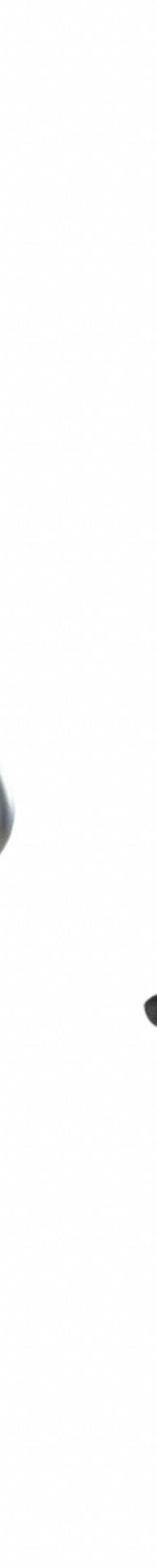 FASTTRACK Dual Handle Hook: Steel, 10.3 in x 7.6 in x 1.5 in, 50 lb Load Capacity, Satin Nickel (MPN 2140836). Key specifications — Brand: FASTTRACK; Includes: (2) Hooks; Material: Steel; Product Type: Dual Handle Hook.