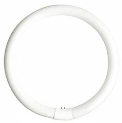 GE LAMPS Circular Fluorescent Bulb: Fluorescent, T9, 4-Pin (G10q), 8 in Circle Dia, 22 W Watt, 4100K (MPN FC8T9/CW). Key specifications — Bulb Shape: T9; Voltage: 61V AC; Brand: GE LAMPS; Color Temperature: 4100K; Bulb Designation: FC8T9/CW.