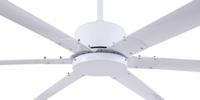 CANARM Ceiling Fan: 11,087 cfm_20,693 cfm Airflow, 10 ft Blade Dia, 5 Speeds, 120V AC, Single Phase (MPN CP120WH). Key specifications — Voltage: 120V AC; Light Kit: No; Series: FANBOS; Number of Speeds: 5; Phase: Single; Current: 0.9 A; Brand: CANARM.