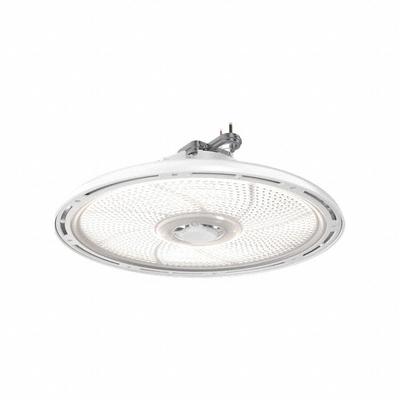 LITHONIA LIGHTING Assure Nightlight, High Lumen Output, 120-277V, Amber - Clips, Chains & Hangers for Bay Lights
