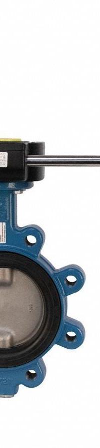 GHIBSON Butterfly Valve: 2 in Pipe Size, Concentric, 250 psi Max. Pressure (CWP), Lug, 4 Bolt Holes (MPN G541S-2). Key specifications — Brand: GHIBSON; Handle Type: Gear Operated Handwheel; Disc Material: Stainless Steel.