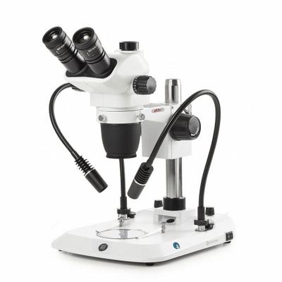 GLOBE SCIENTIFIC Microscope: Stereo, Binocular, 6.5X to 55X, 35.4 mm Optical Field of View - Stereo Microscopes