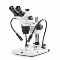 GLOBE SCIENTIFIC Microscope: Stereo, Binocular, 6.5X to 55X, 35.4 mm Optical Field of View, 110 mm (MPN ENZ-1703-PG). Key specifications — attr1026048: GLOBE SCIENTIFIC; attr1026068: 55X; attr1026078: 6.5X to 55X; attr1026095: 110 mm.
