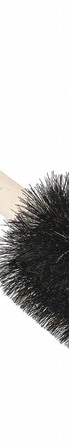Beaker, Jar and Cylinder Brush: 16 in Overall Lg, Natural Hair, Black, 6 in Brush Head Lg (MPN 06180). Key specifications — Brand: TANIS; Non-Sparking: No; Bristle Color: Black; Bristle Material: Natural Hair.