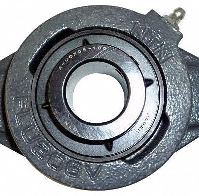 NTN 2 Bolt Flange Bearing: Radial Ball, 1 in Bore, Cast Iron, Set Screws - General Purpose Flange-Mount Ball Bearings