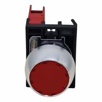 DAYTON Flush Push Button Operator: Non-Illuminated, Flush Profile, Metallic, 22 mm, 1NC (MPN GGS_116334). Key specifications — Brand: DAYTON; Action: Momentary; Push Button Material Type: Metallic.