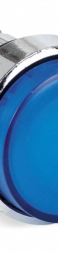 SCHNEIDER Extended Push Button: Blue, 22 mm Mounting Size, Metallic, Momentary (MPN ZB4BW163). Key specifications — Brand: SCHNEIDER; Action: Momentary; Series: XB4; Push Button Material Type: Metallic.