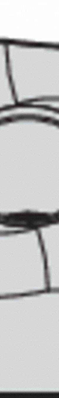 WIDIA Diamond Turning Insert: DNMM44265, DNMM15060865 (MPN 5698415). Key specifications — attr257732: DNMM44265; attr257733: DNMM15060865.