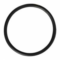 DAYTON O-Ring: Mfr Part # PPL3425G. Key specifications — Manufacturer Part Number: PPL3425G; Compatible with Manufacturer Model Number: 2YEX2; Compatible with Pump Type: Chemical-Resistant Pedestal Pump; Compatible with Grainger Part Number: 2YEV5; Compatible with Brand: Dayton.