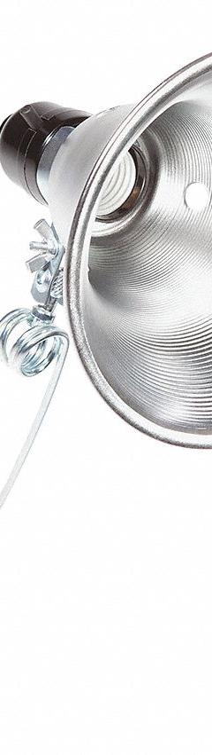 BAYCO Clamp-On Task Light: Bulb Dependent, Corded, Clamp Light, 6 ft Power Cord Lg, 120V AC, Clamp (MPN SL-201PDQ6). Key specifications — attr564187: No; attr564159: BAYCO; attr564166: 18 AWG; attr564190: Clamp Light; attr564196: Bulb Dependent; attr564211: 120V AC; attr564226: Push Button.