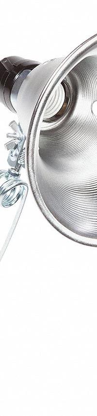 BAYCO Clamp-On Task Light: Bulb Dependent, Corded, Clamp Light, 6 ft Power Cord Lg, 120V AC, Clamp (MPN SL-201PDQ6). Key specifications — attr564187: No; attr564159: BAYCO; attr564166: 18 AWG; attr564190: Clamp Light; attr564196: Bulb Dependent; attr564211: 120V AC; attr564226: Push Button.